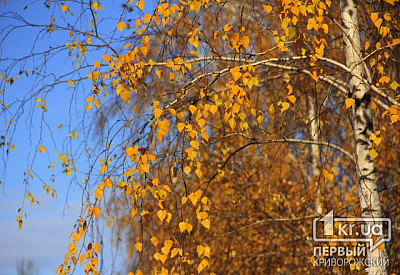 Фото к новости Главное фото новости