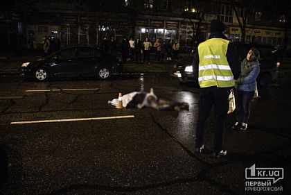 Свидетелей жуткой аварии в Кривом Роге просят откликнуться правоохранители