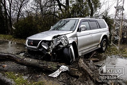 В Кривом Роге легковушка влетела в дерево