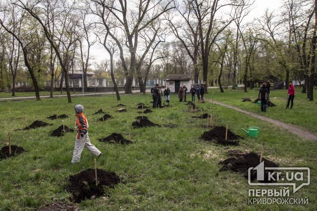 Криворожан приглашают на весеннюю высадку деревьев в парке «Правда»