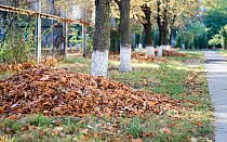 Фото новости
