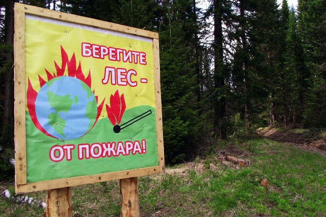 Из-за жары запрещен въезд в леса Днепропетровской области