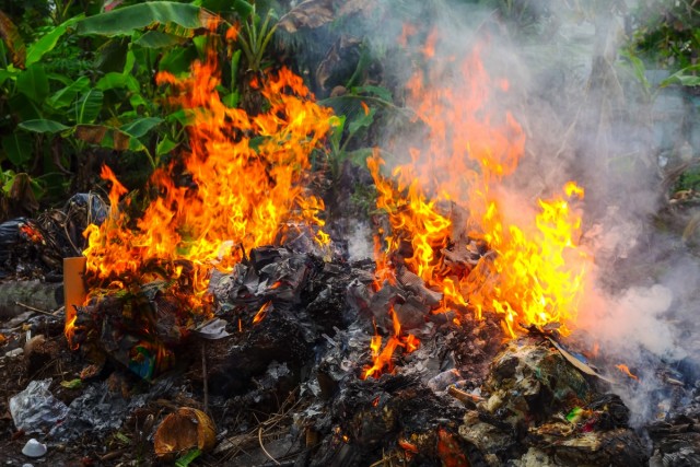 Вред природе: За сжигание листьев можно сесть на пять лет