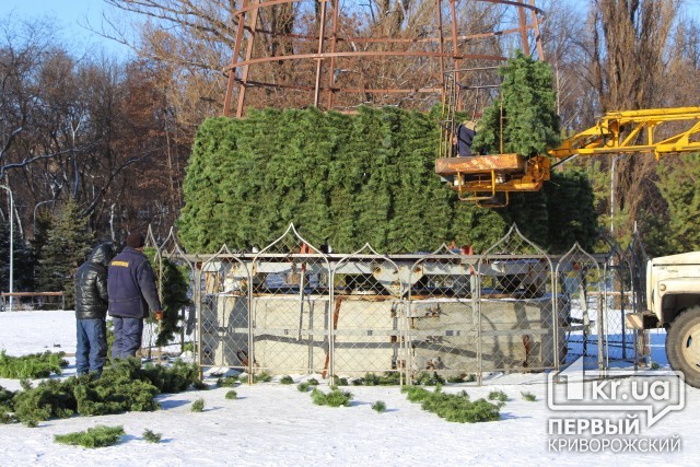В Кривом Роге устанавливают главную городскую новогоднюю елку