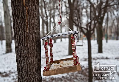 Фото к новости Главное фото новости