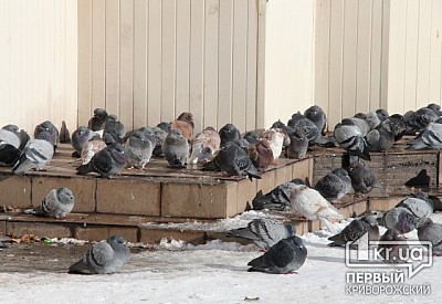Фото к новости Главное фото новости