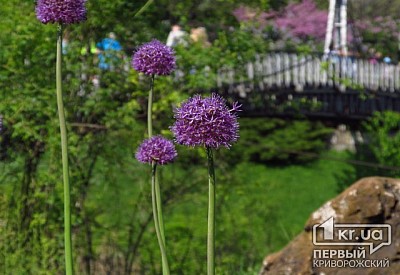 Фото к новости Главное фото новости