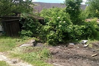 Два месяца ждали помощи. Жители Покровского района смогли обратить на себя внимание властей, - свидетели событий