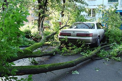 Как жили в колхозе, так и живем. Главное – «губы накрасить», - свидетели событий