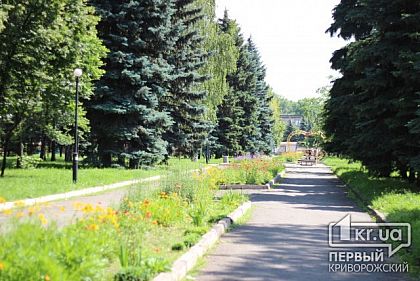 Свидетели событий: как полицейские могли «проворонить» кражу двух лавочек?