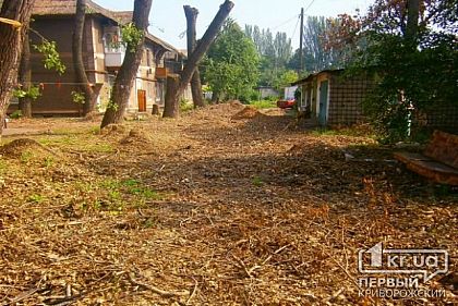 Свидетели событий: разве за это мы налоги платим?