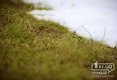 Фото к новости Главное фото новости