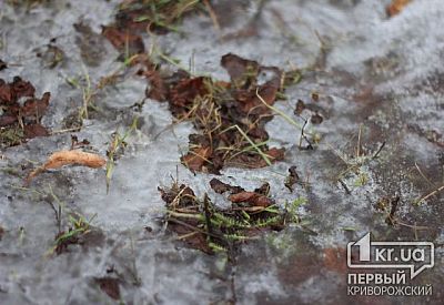 Фото к новости Главное фото новости