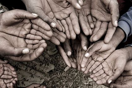 «ОППО Блок» хочет попросить у Киева денег