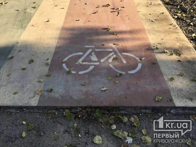«Велодорожки в парке - опасны!» - велосипедистка Кривого Рога