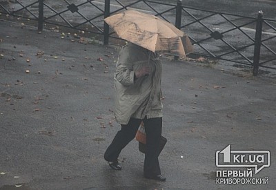 Фото к новости Главное фото новости