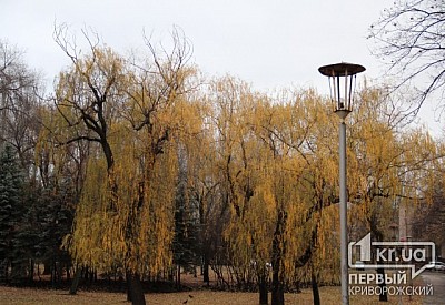 Фото к новости Главное фото новости
