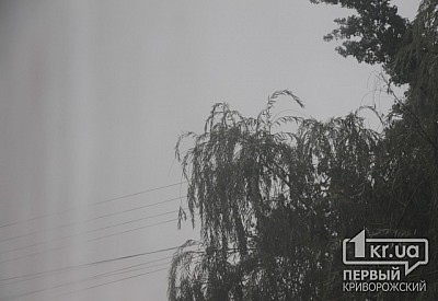 Фото к новости Главное фото новости