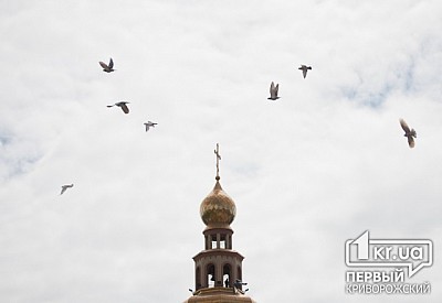 Фото к новости Главное фото новости