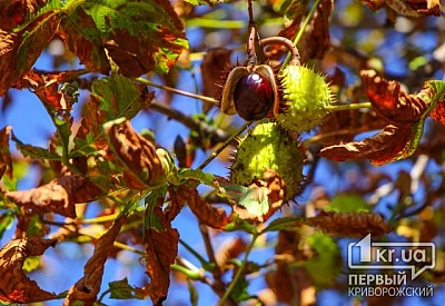 Фото к новости Главное фото новости