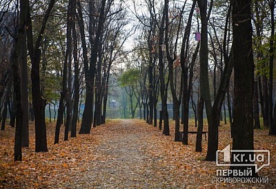 Фото к новости Главное фото новости