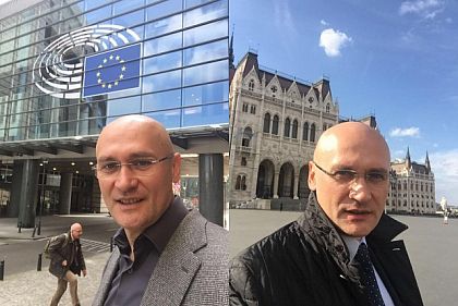 Редкий заммэра долетит до средины Атлантики. Путешествия Удода