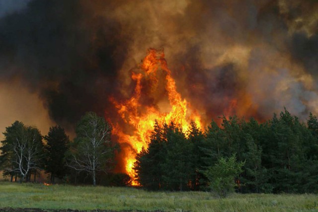 Осторожнее с огнем: В городе установлен максимальный уровень пожарной опасности