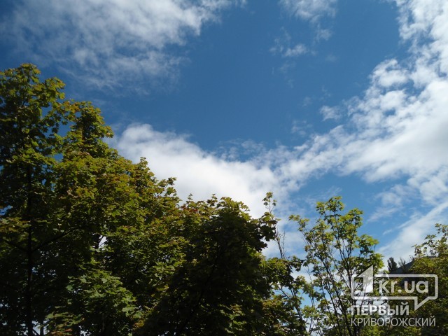 Погода в Кривом Роге на 15 августа