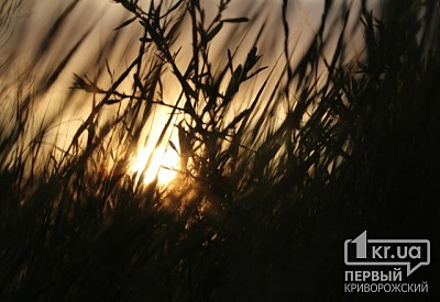 Фото к новости Главное фото новости