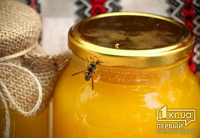Фото к новости Главное фото новости