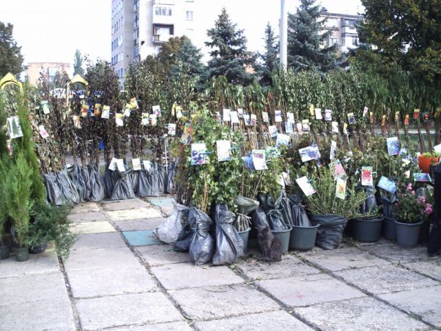 В Терновском районе проведут весеннюю ярмарку «Все для сада и огорода»