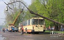 Фото новости