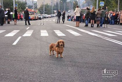 Десятилетняя гарантия. 20 апреля «Весташляхбуд» за свой счет заново отремонтирует дорогу по ул.Рзянкина