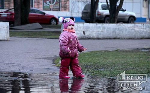 Главное фото новости
