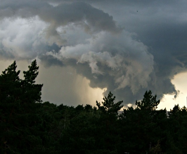 Погода в Кривом Роге 29 мая