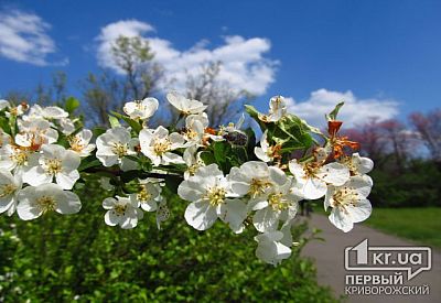 Фото к новости Главное фото новости