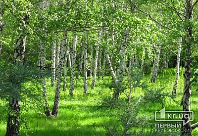 Фото к новости Главное фото новости