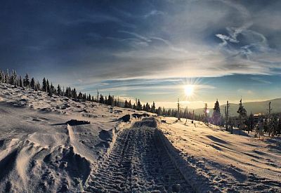 Фото к новости Главное фото новости