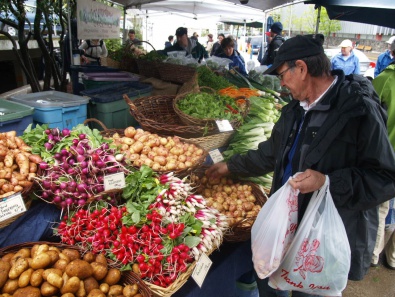 Украинские овощи могут захватить европейский рынок
