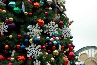 В Кривом Роге открыли еще одну Новогоднюю елку