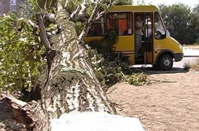 В Кривом Роге дерево упало на маршрутку с людьми