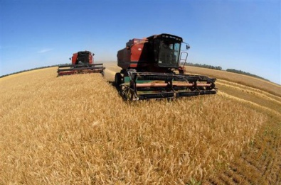 Днепропетровщина уже начала сбор ранних зерновых