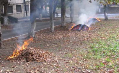 За сжигание листьев будут штрафовать на 1300 грн