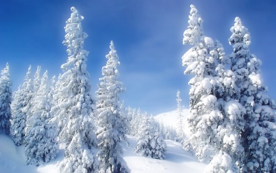 Сегодня в Кривом Роге снег, завтра – морозы