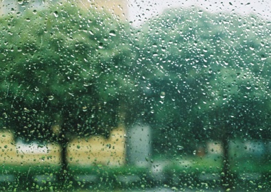 Погода в Кривом Роге на 12 августа
