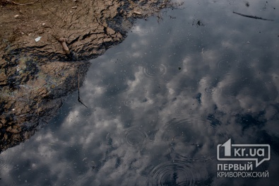 В реке Саксагань массово гибнет рыба