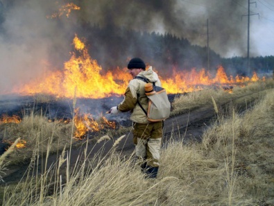 В области пройдут масштабные учения по тушению лесных пожаров