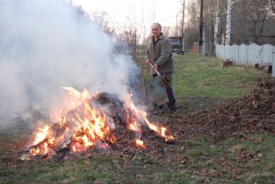 За сжигание листьев криворожанам грозит штраф до 340 гривен