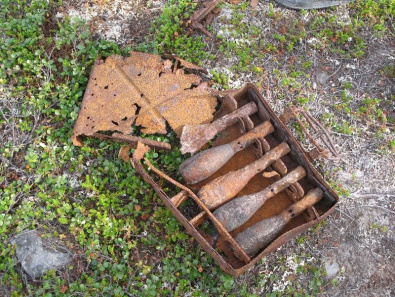 Криворожские МЧСники нашли в огороде 10 артиллерийских снарядов