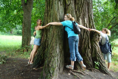 Благодаря девятикласснице криворожский дуб включен в список вековых деревьев Украины